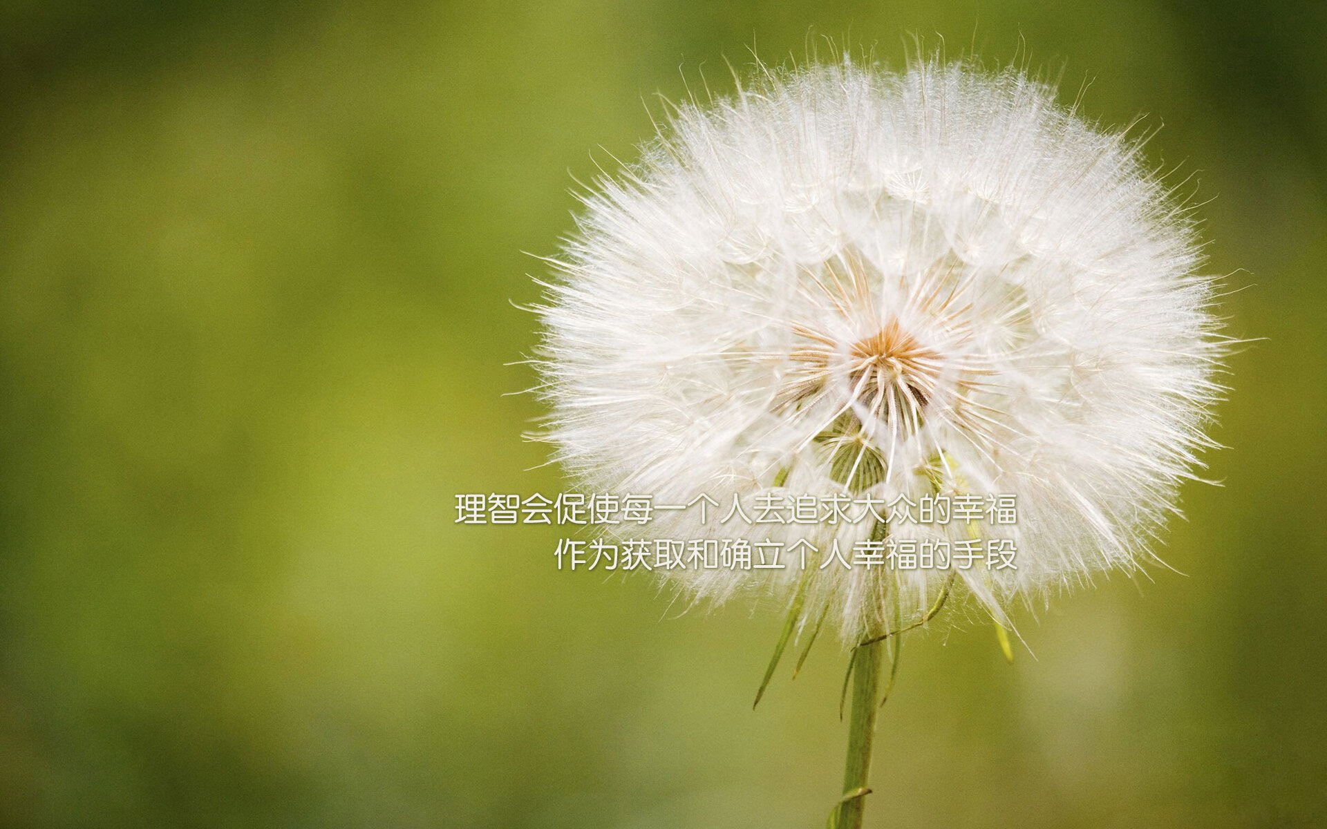 世界青少年马拉松劲爆开跑，燃烧希望，追逐梦想，2021青少年马拉松