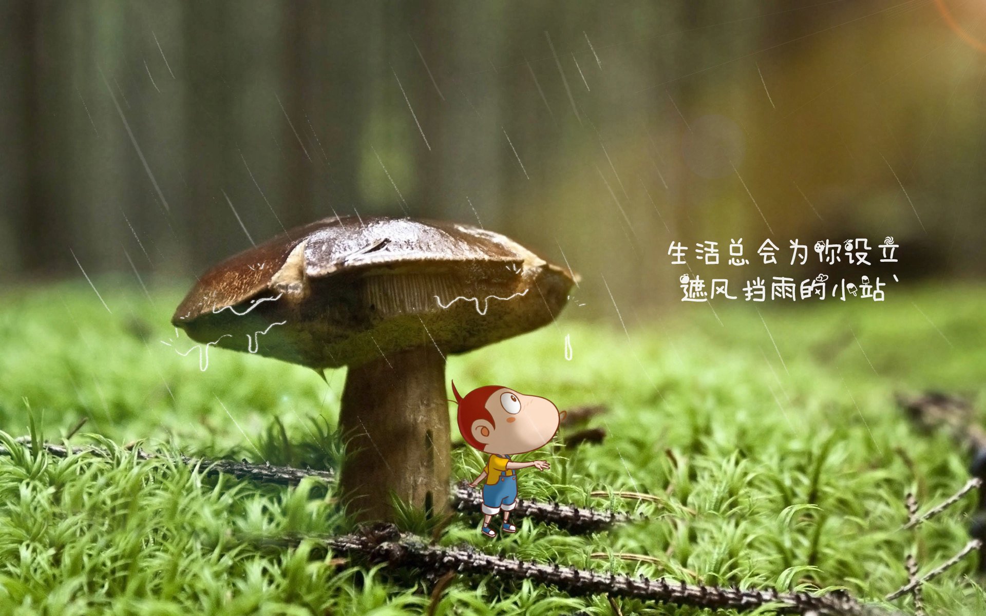 开云体育官方网站登陆-西甲青训出产球员投入一线队使用决定背后，西甲青训排名