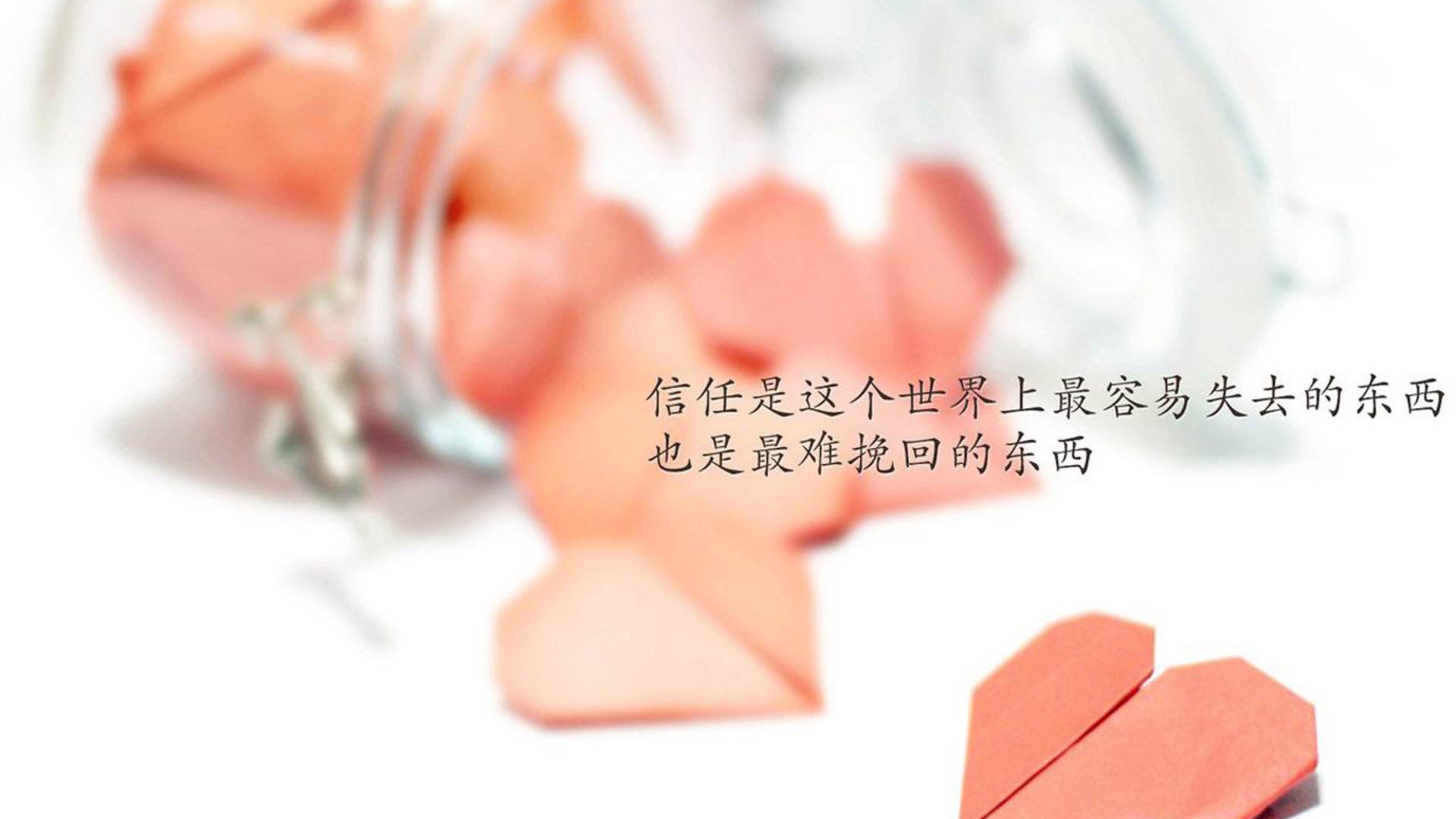 中超联赛中国女足战败 球迷希望重建体系,中国足协女超联赛