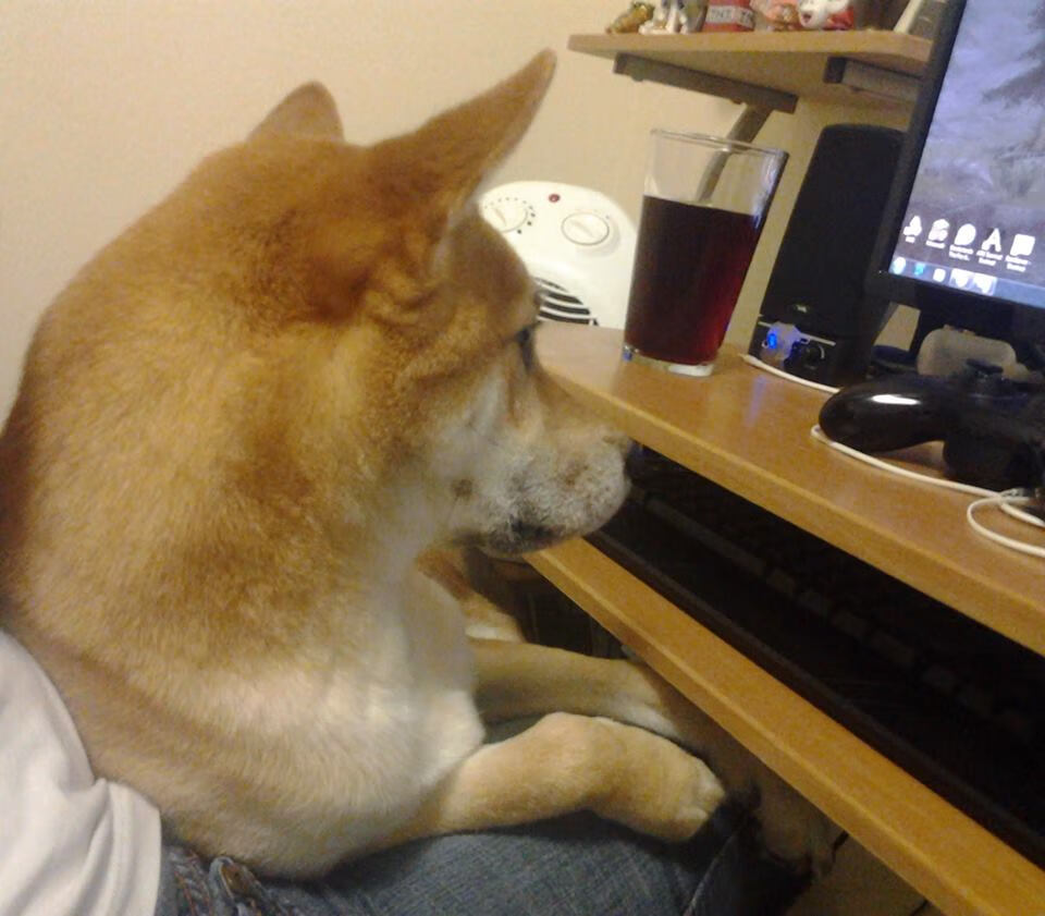 山东男篮战术打法逐渐成熟季后赛希望重燃,山东男篮官方发布