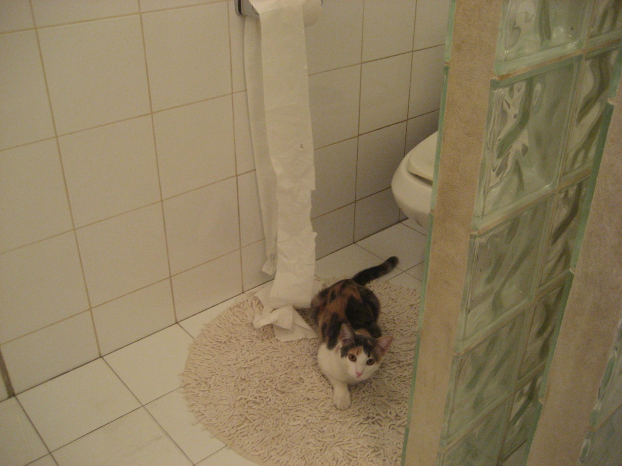 新赛季联赛裁判听证制度试点推行,王者荣耀联赛裁判