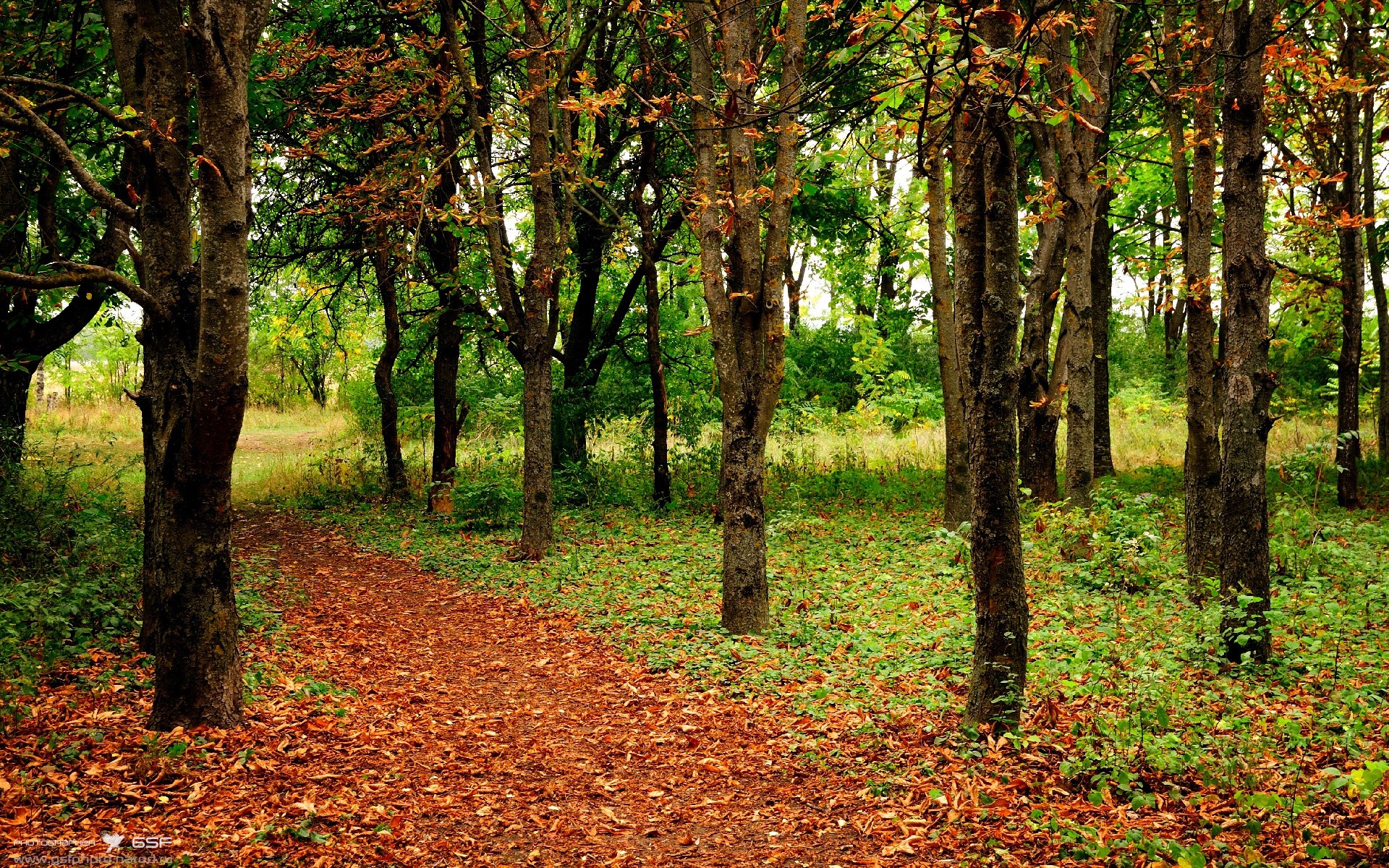 突尼斯希望频繁换人试图打乱对方节奏，rockstar已分配存储空间