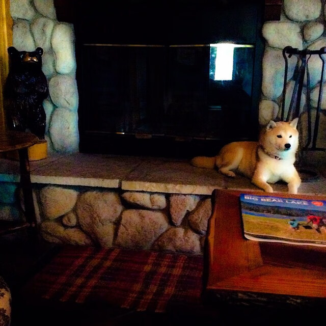 中国足球联赛打造高频赛后球迷访谈节目,记者采访中国足球球迷