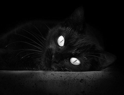 卡普尔全场突破与精准传球，助袋鼠队攻破防线，卡普尔包