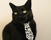 奇库诺娃冲刺阶段展现王者气质，库奇娜百度百科